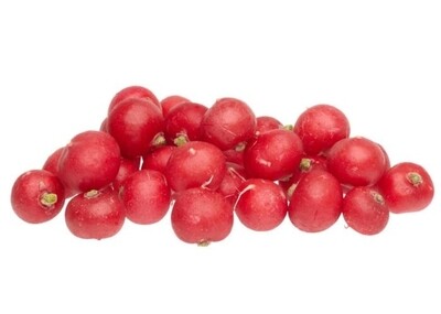 Radijs per zak 1 kilo