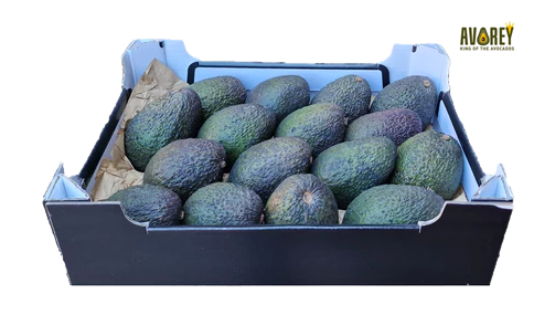 Avorey x22 avocado per 5 doos met €5,00 KORTING