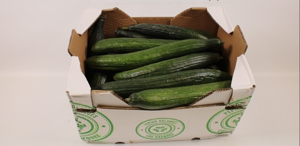 Komkommers INDUSTRIE 10 kg 