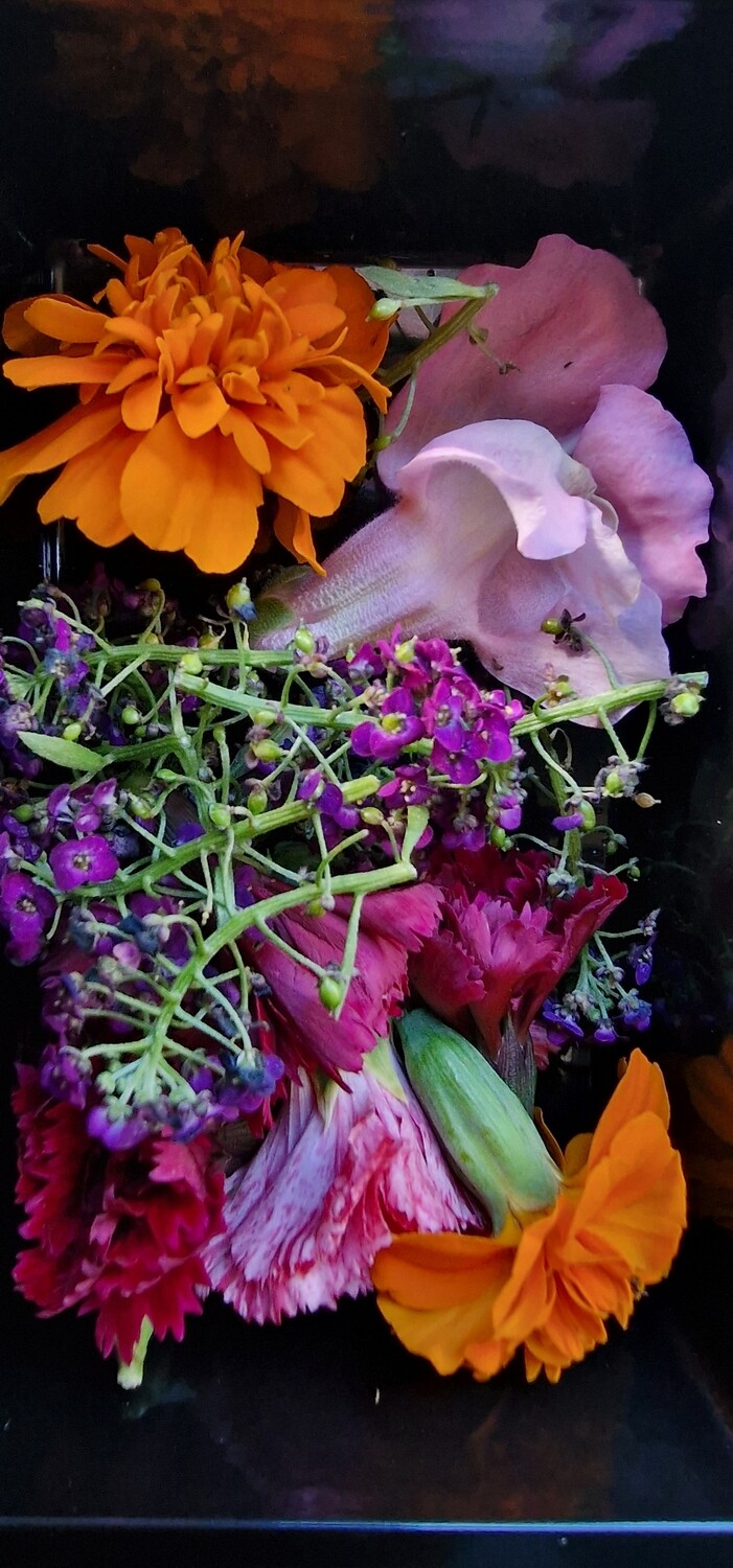Eetbare bloemenmix 4 doosjes
