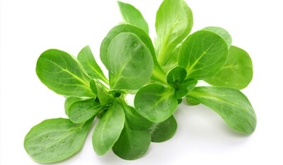 Baby veldsla per 125 gram