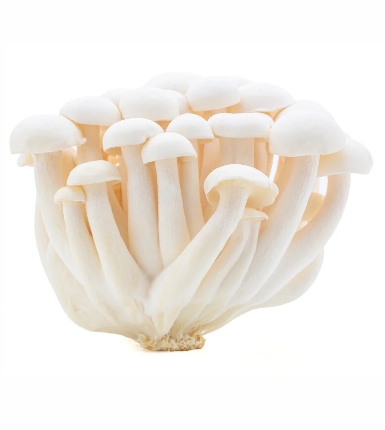 Champignons Beukenzwam wit per 150 gram