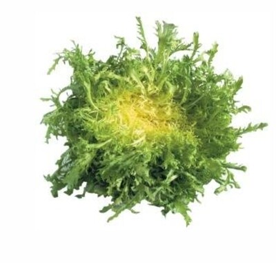 1x Frisee geel verpakt stuk