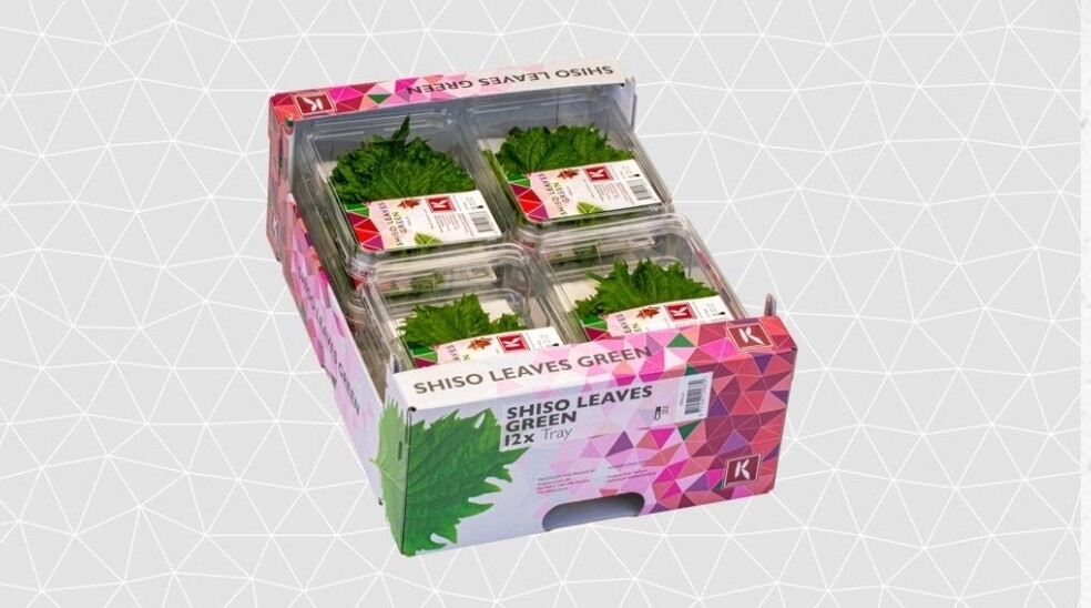 1x Shiso leaf green per kleine tray
