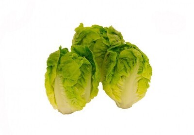 1x Little gem  per 6 stuk