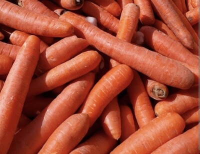 Voederpeen/wortel per 10 kg