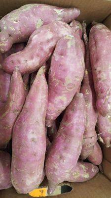 Zoete Aardappel rood/wit per kilo