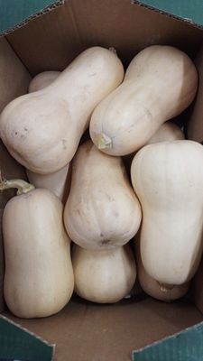 Flespompoen per doos 10 kilo