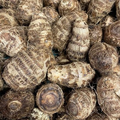 Eddoes/ Chinese tayer aardappel per kilo