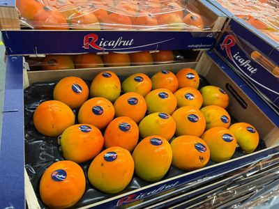 Kaki/Sharon fruit per doos 