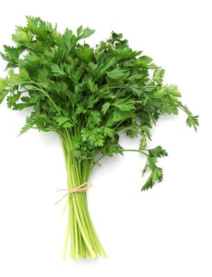Platte peterselie20 bos in witte doos