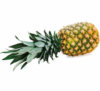 Baby/mini ananas per doos 10 stuk