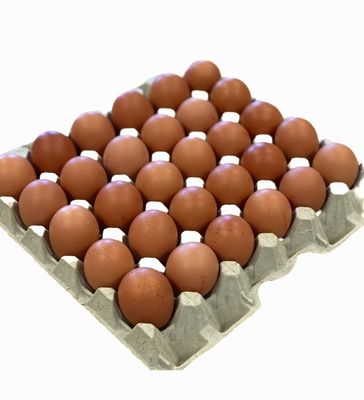 Eieren maat wit verpakt per 90 stuks