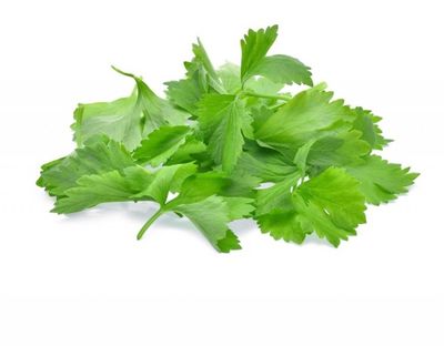 Selderij per kist/12 bos