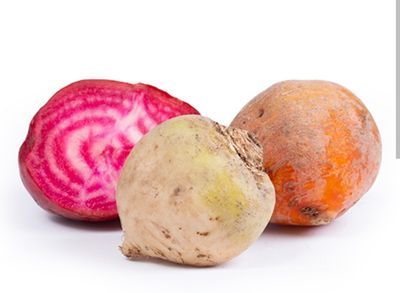 Chioggia bieten per kist 5 kg