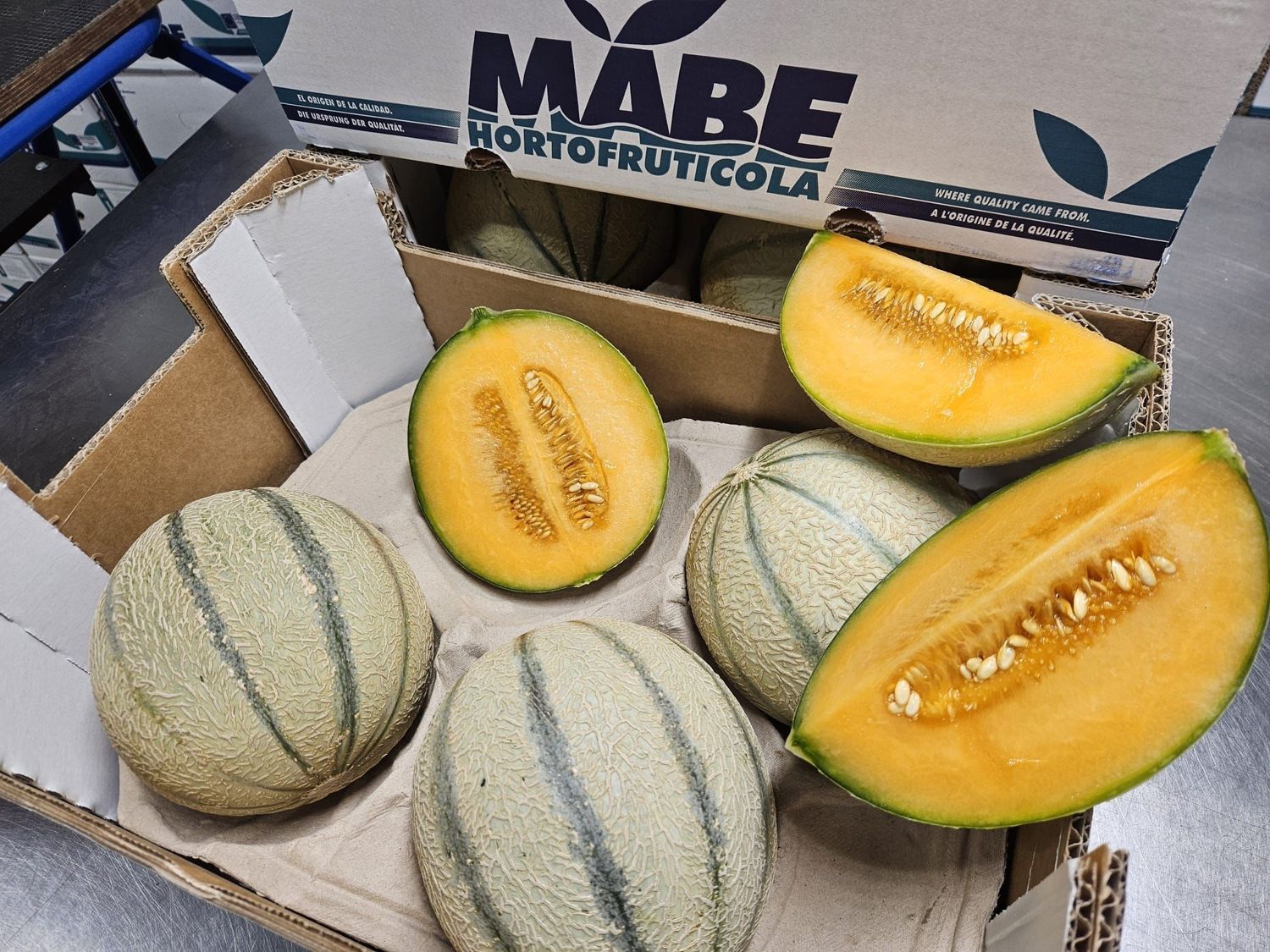 Oranje cantaloupe meloen per doos 