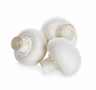 Champignon per kist 3 kg 