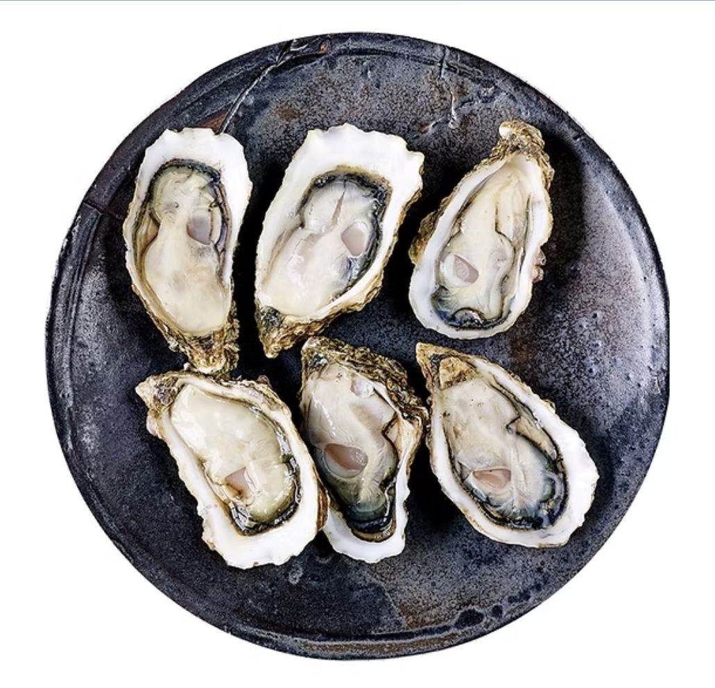 Oester "in a box" 48 stuks