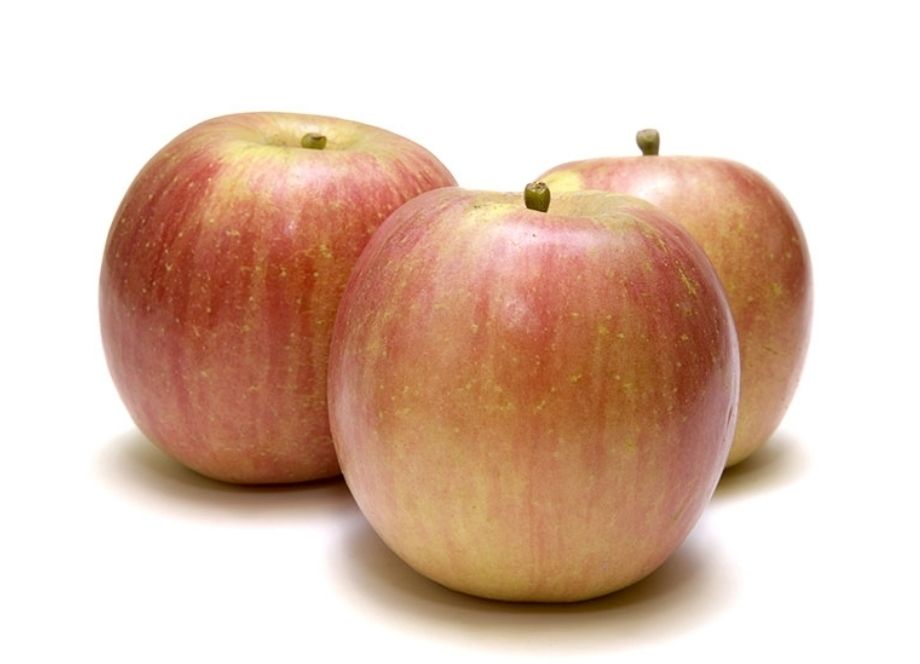 Appels FUJI per doos 12 kg