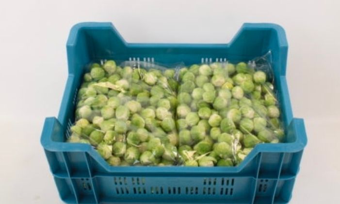 Spruiten D schoongemaakt 4x1kg