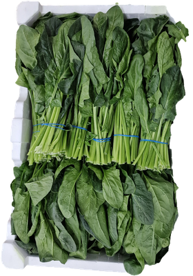 Bosspinazie wild/Poichoi per 12 bos