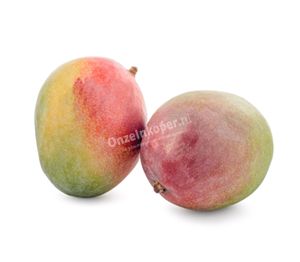 MANGO Kent 7/8 stuks per doos