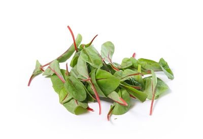Red Chard per doos 8x125 gram
