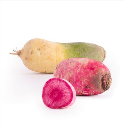 Red meat rettich/ radijs per kist 5 kg