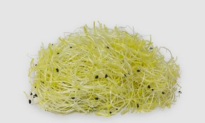 Prei sprouts/ scheuten 8 x 50 gram