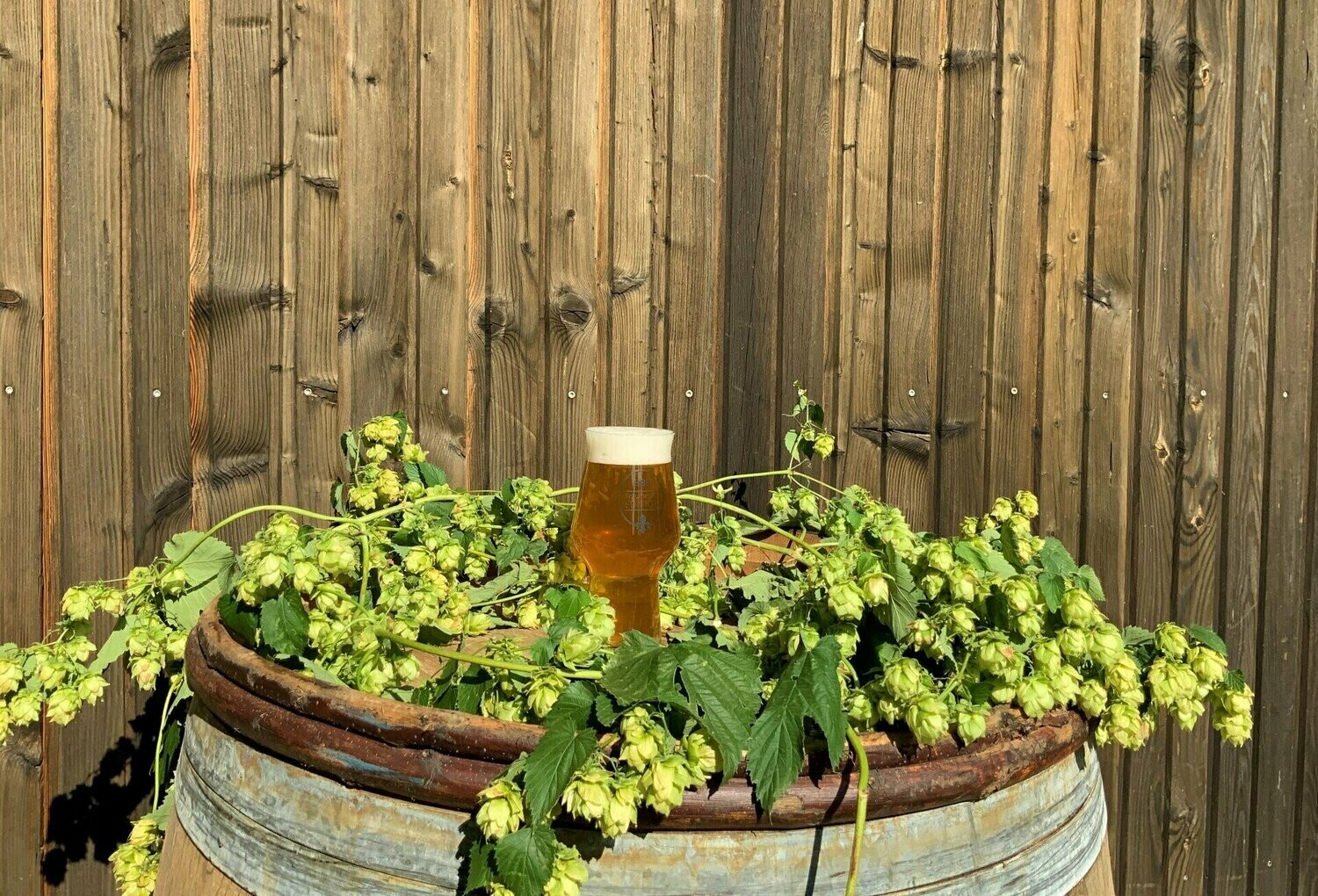Bierglas &quot;Braumeister Edition&quot;