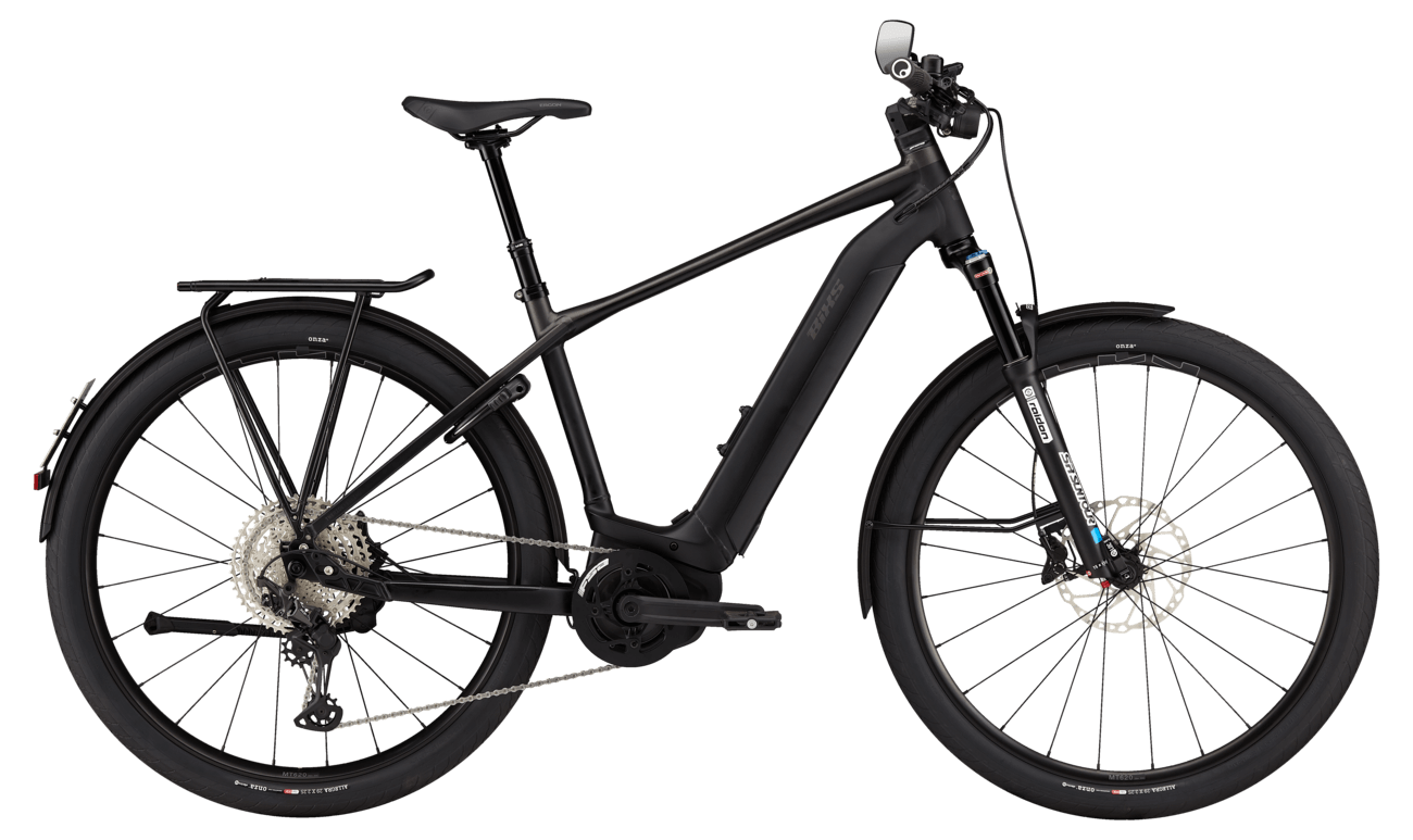 BiXS ACCESS EX (DI) 45 km/h