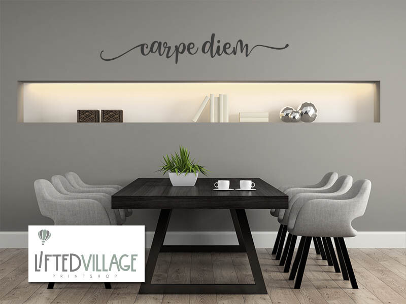 Vinyl - Carpe Diem