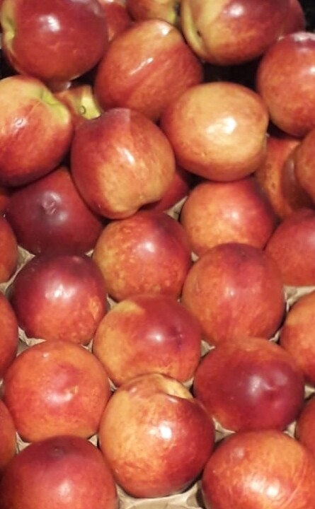 Nectarines Jaunes 1kg