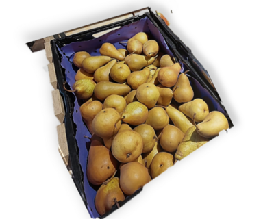 Poires Bosc 1kg