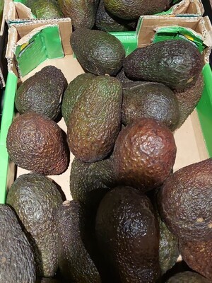 Avocat la pièce