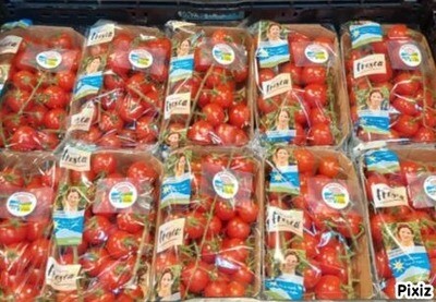 Cherytomates en grappes 500g