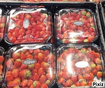 Extra fraises 500g