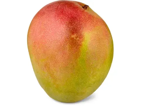 Mangue 1pièce
