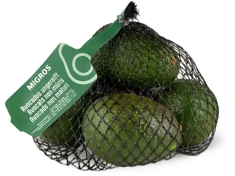 Avocat · Non mûr