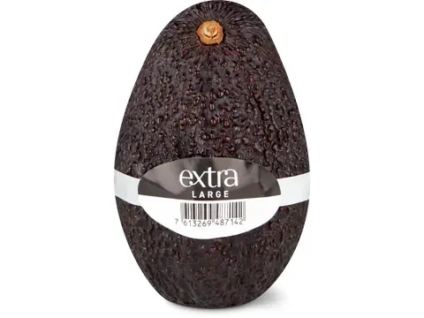 Extra · Avocat 1pièce