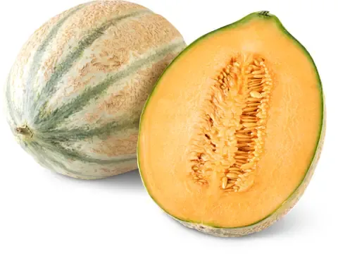 Melon brodé 1pièce