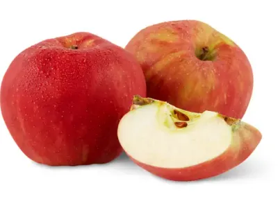 Pommes · Gravenstein 1Kg