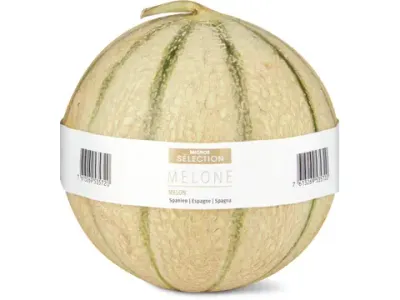 Sélection · Melon 1pièce