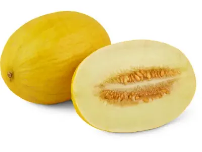 Melon jaune 1pièce