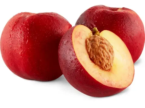 Migros · Nectarines · à chair jaune 1Kg