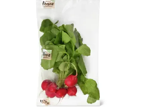 Radis 1pièce