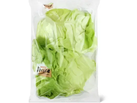 Cœurs de laitue pommée 1pièce