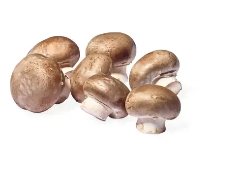 Champignons de Paris · bruns 100g