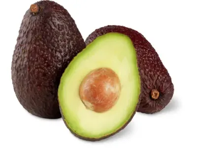 Avocat 1 pièce