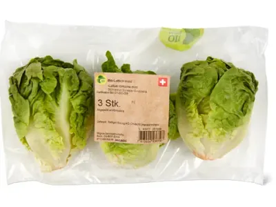 Laitue romaine · Bio, mini 3pièces